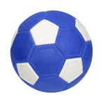 size 5 football